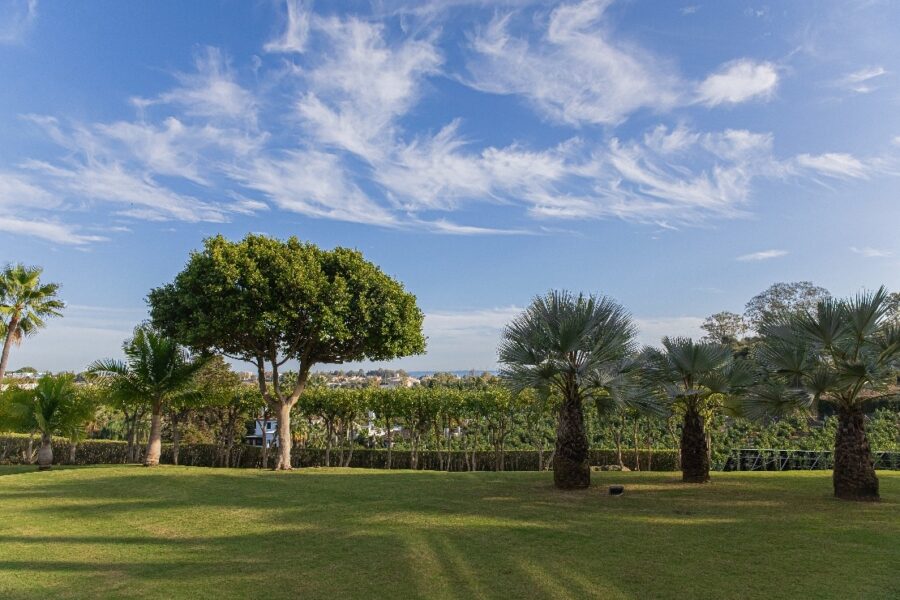 Bajo de 3 dormitorios en la Nueva Milla de Oro, Estepona 3 Bed Ground Floor in The New Golden Mile, Estepona