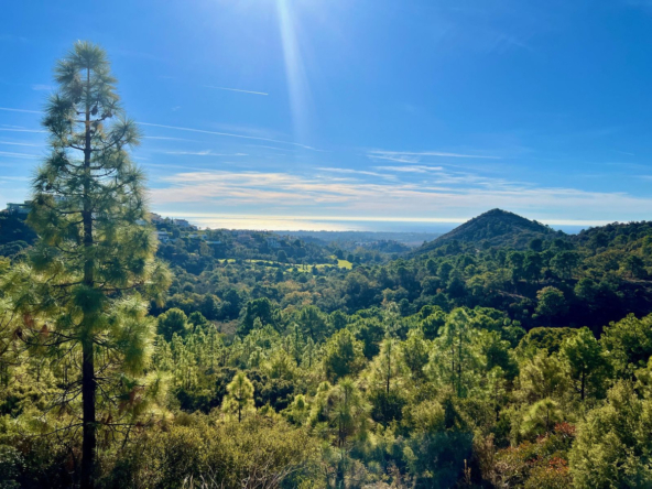 Terrain rustique de 34,506 m² à Benahavis